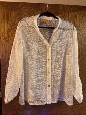 Ruby Rd. White Sheer Textured Button-Front Blouse